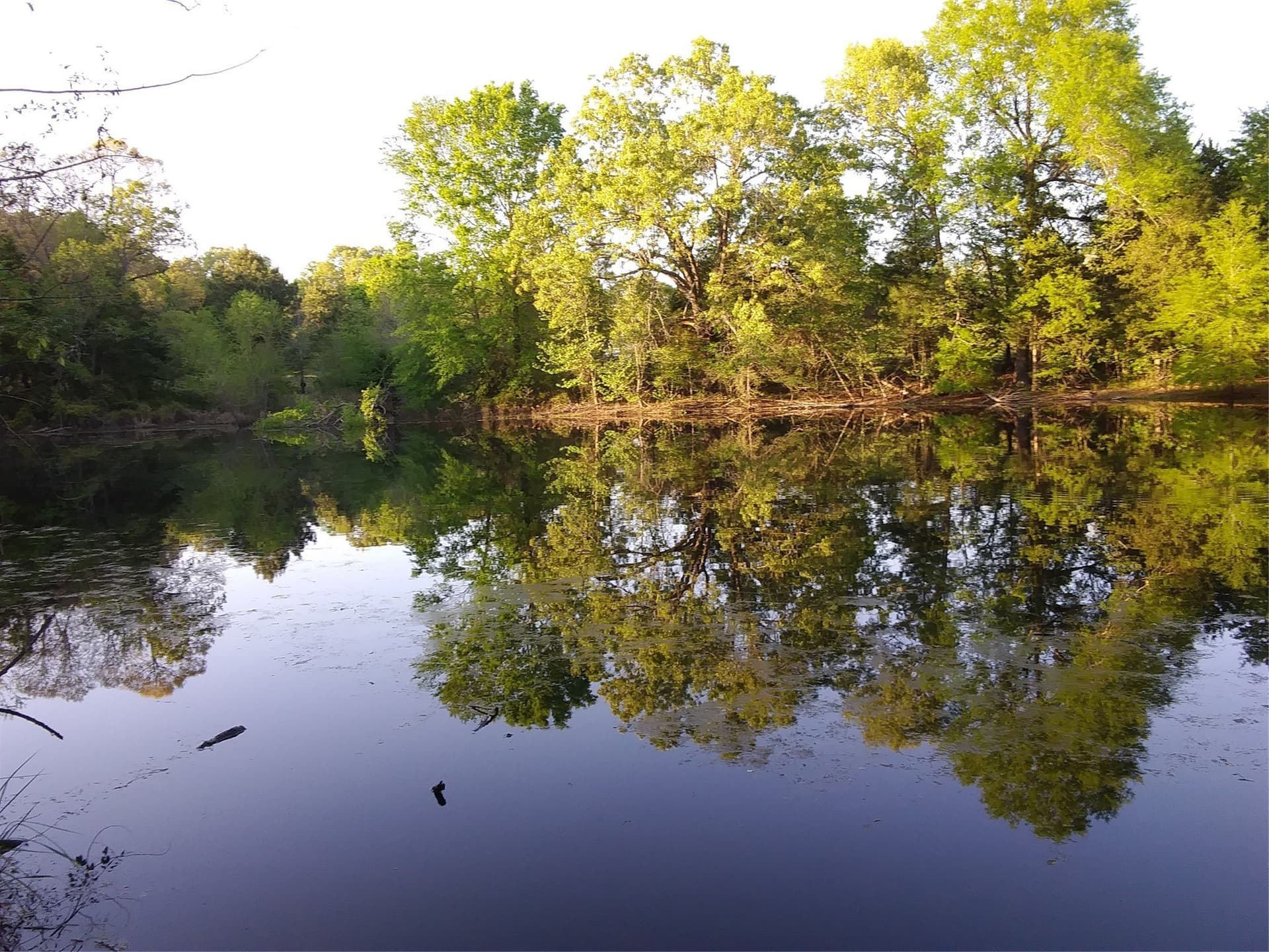 17.73 acres in Lamar County