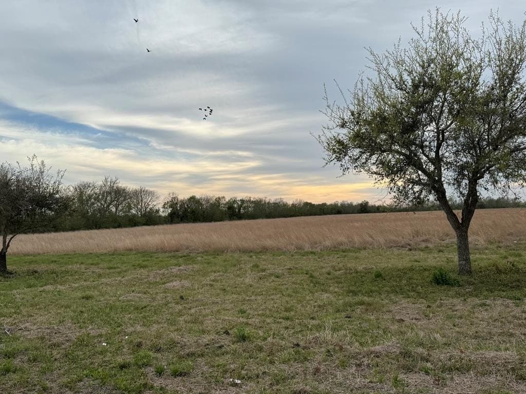 28.94 acres in Danbury County