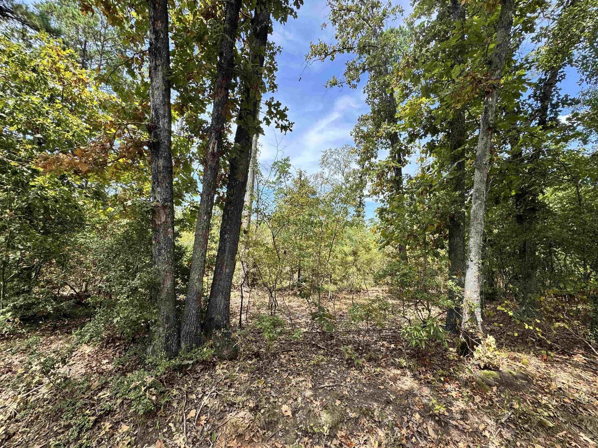 11.01 acres in Rusk County