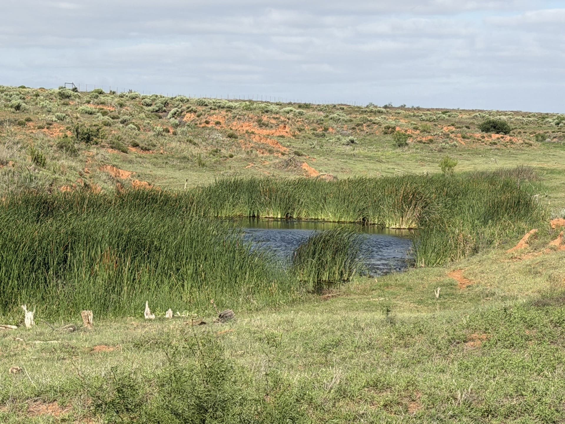 325 acres in Childress County