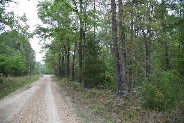 30.82 acres in Texas County