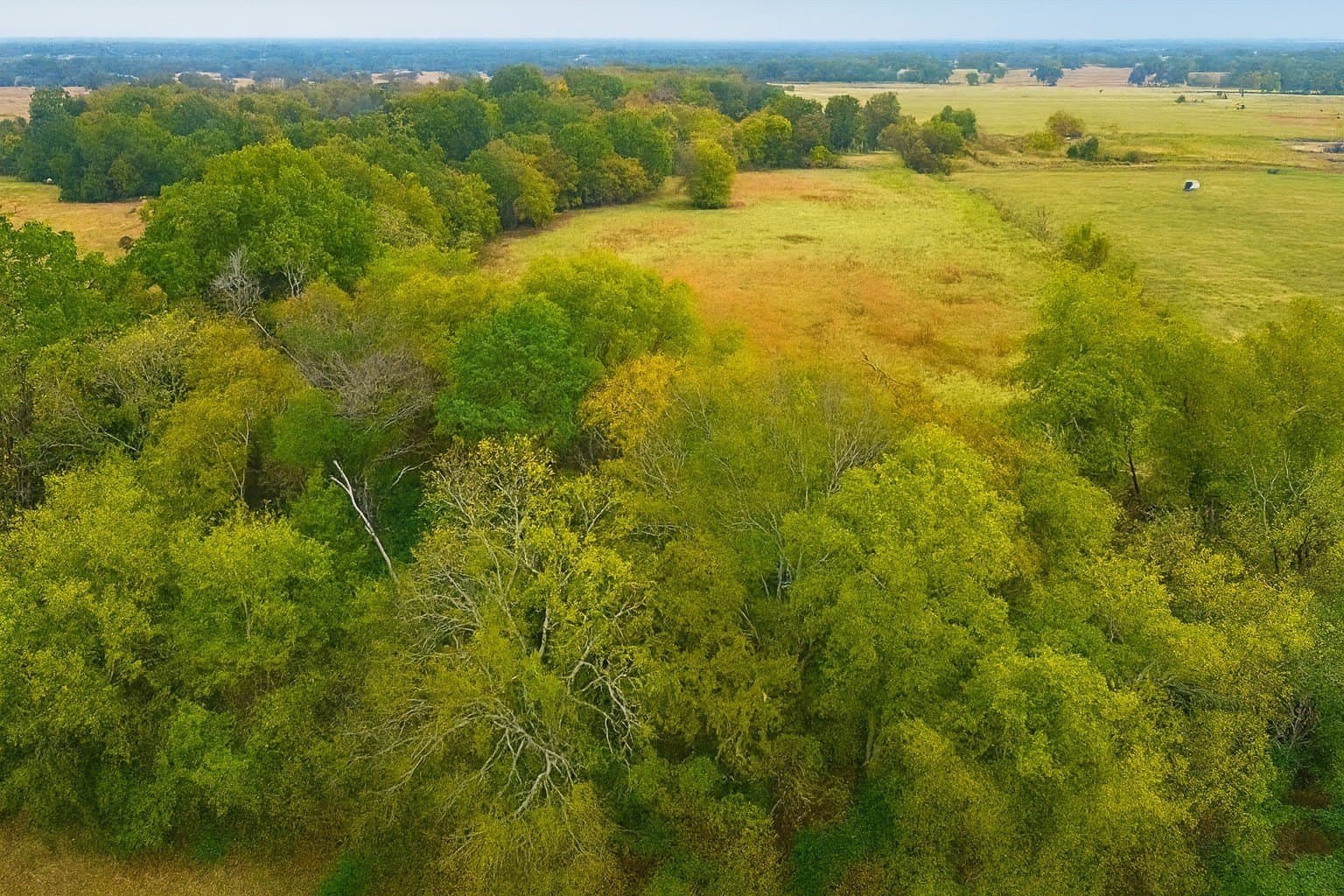 20.83 acres in Van Zandt County