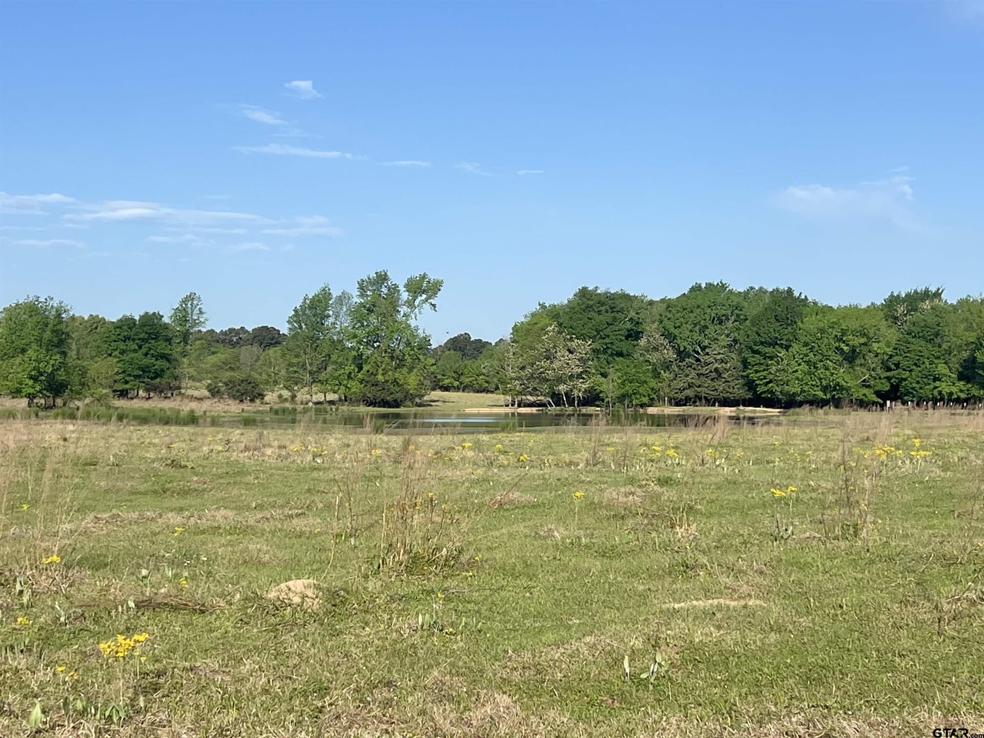 16.5 acres in Titus County