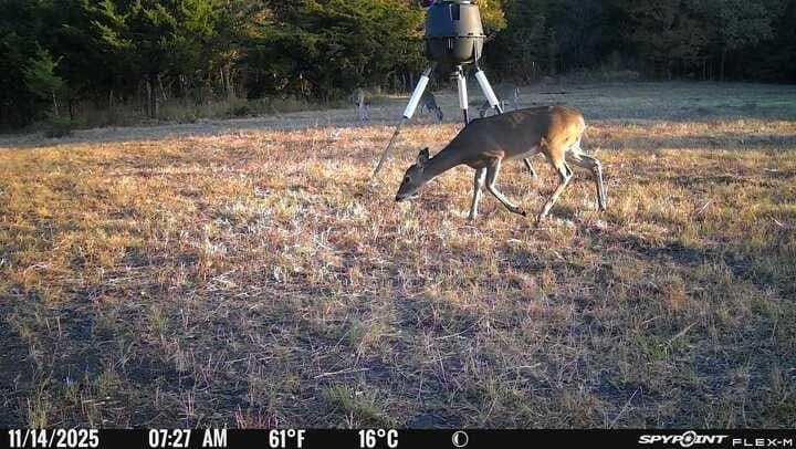 15 acres in Hunt County