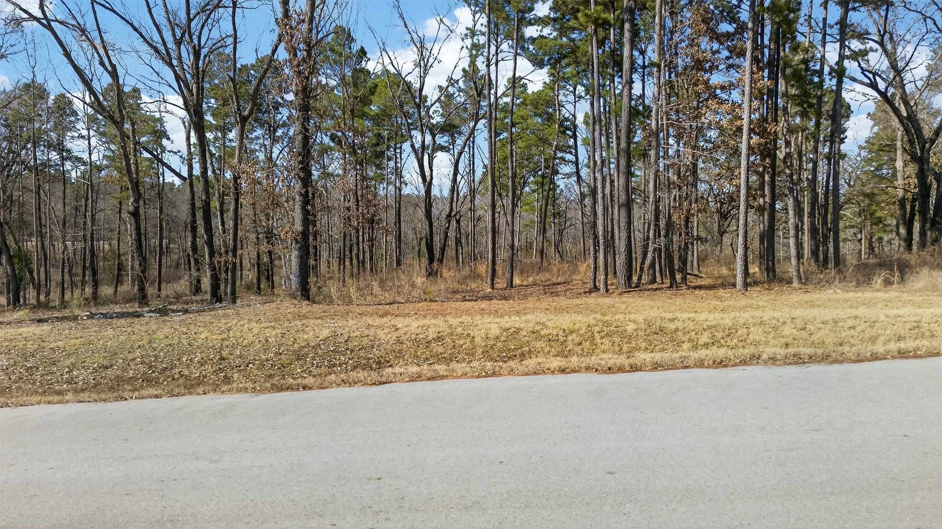 1.6 acres in Henderson County