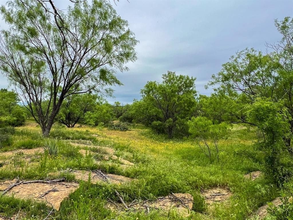 480 acres in Throckmorton County