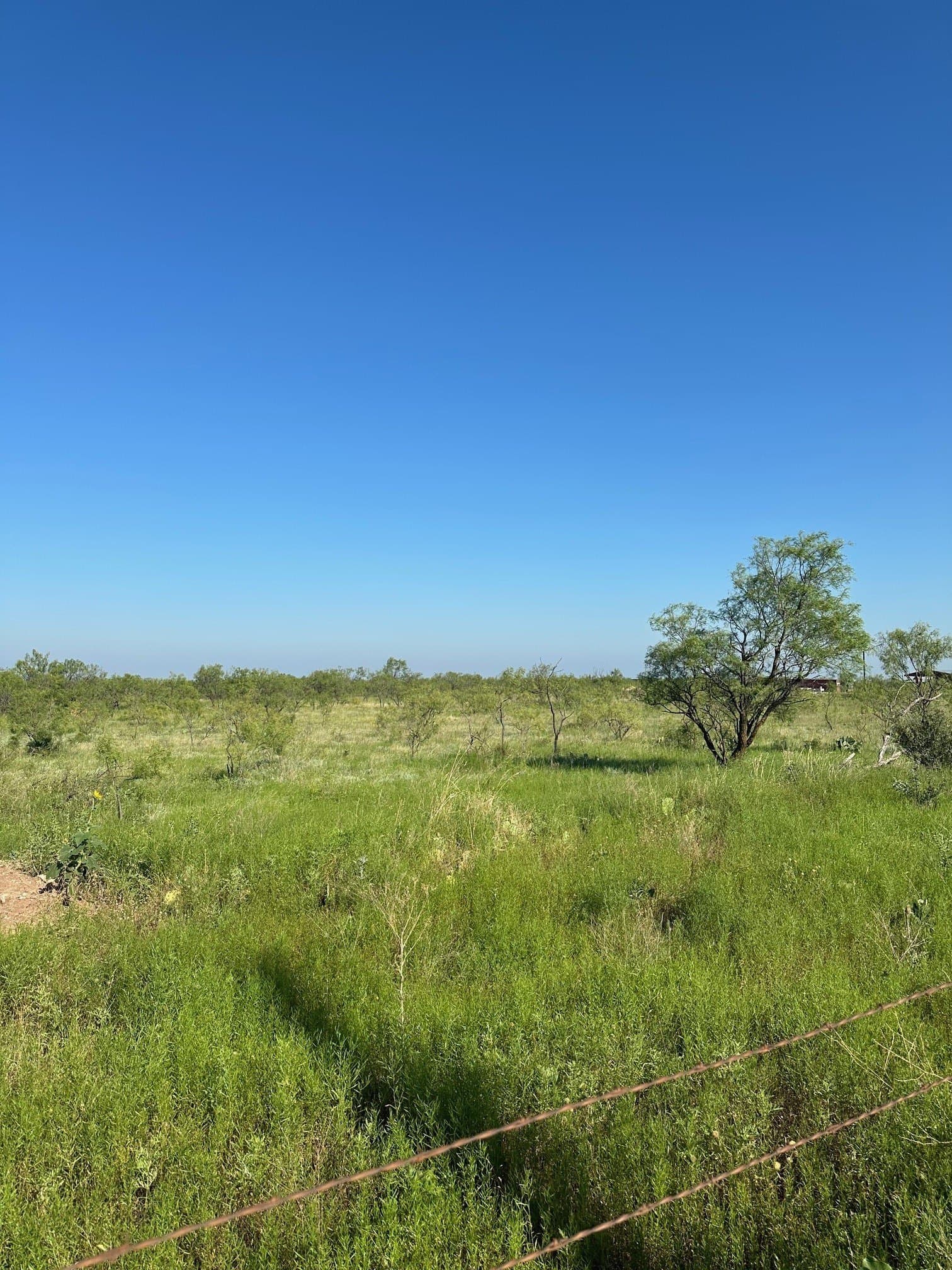 11 acres in Shackelford County