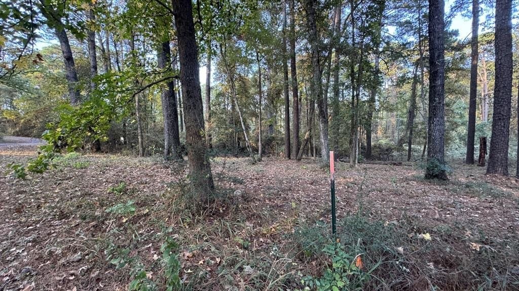 0.26 acres in Texas County