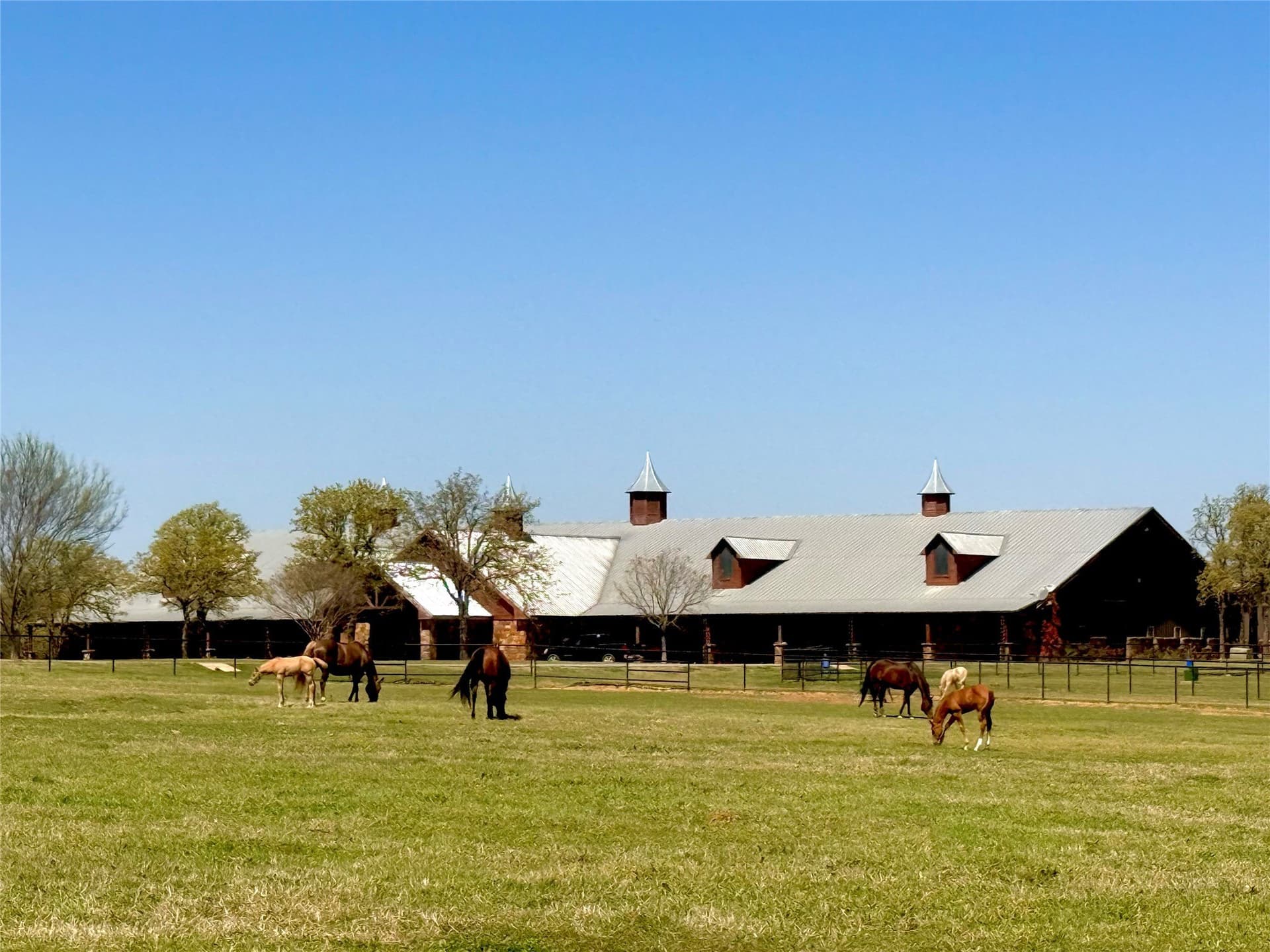 132 acres in Cooke County
