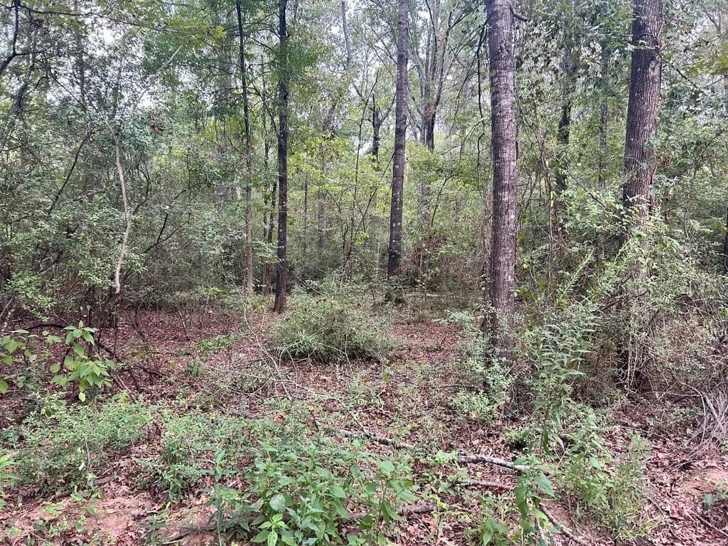 0.21 acres in Texas County