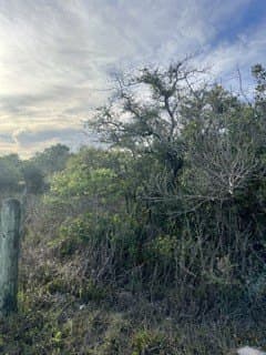 4.37 acres in Aransas County