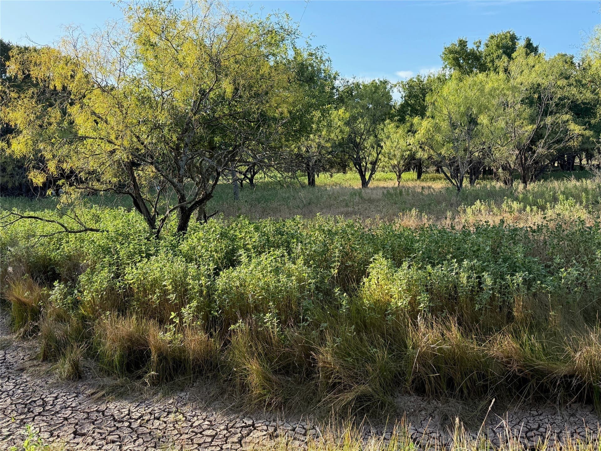 6.15 acres in Brown County