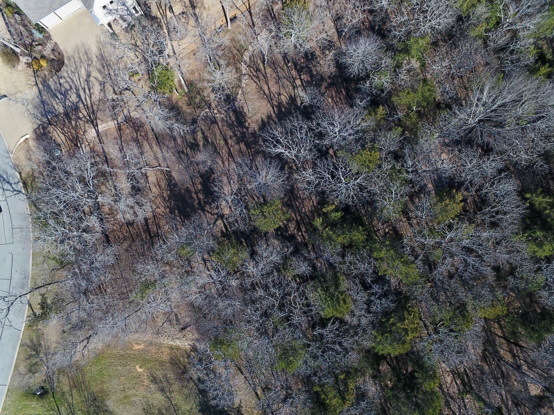 0.19 acres in Grayson County