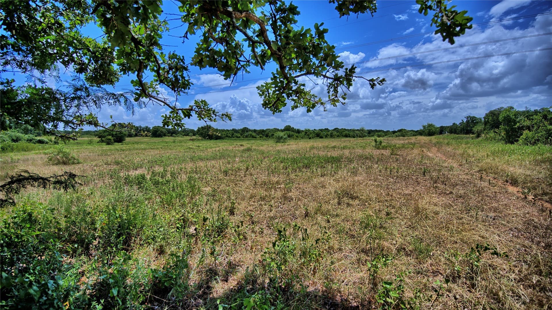 59.84 acres in Wise County