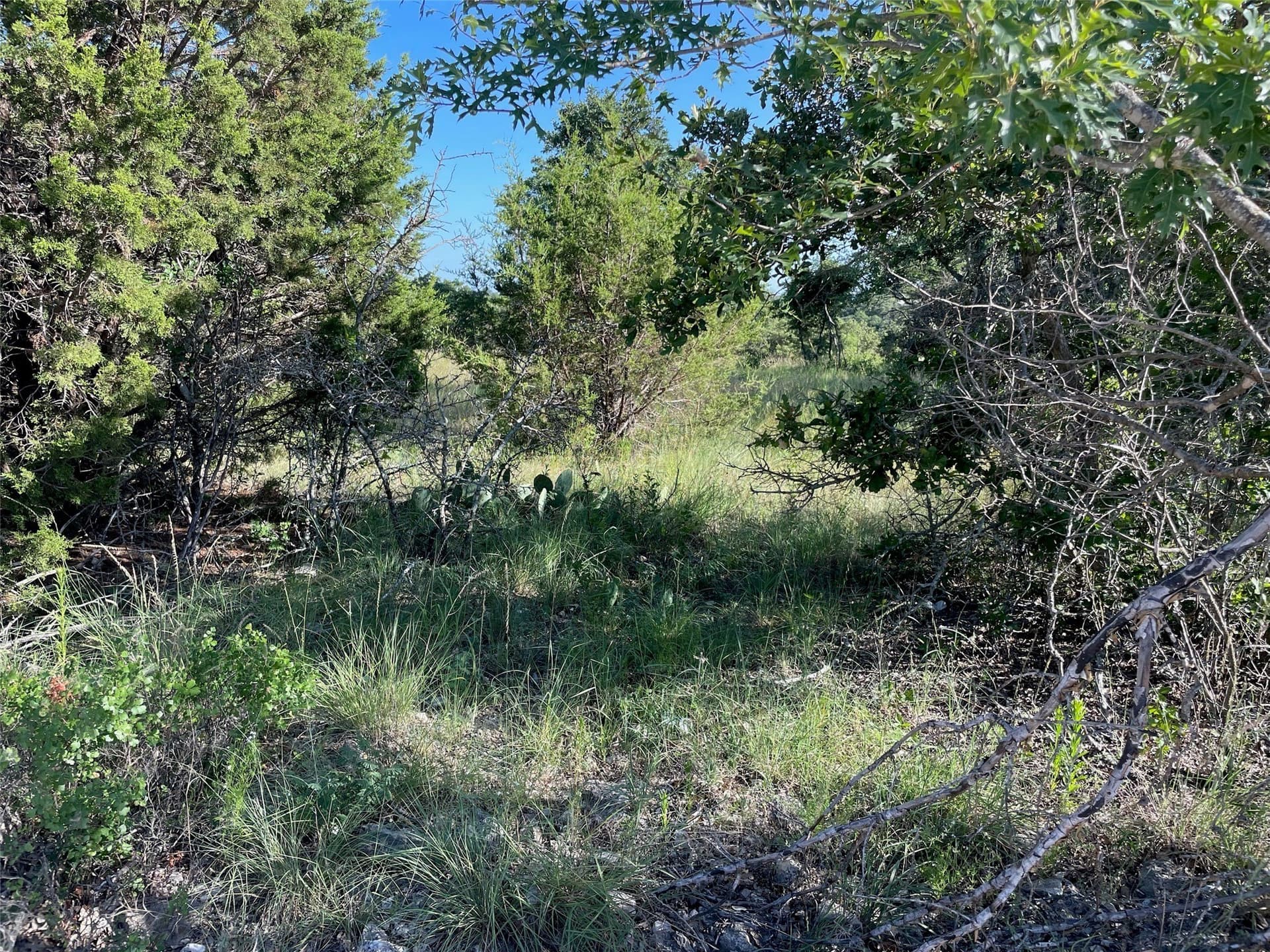 0.82 acres in Eastland County