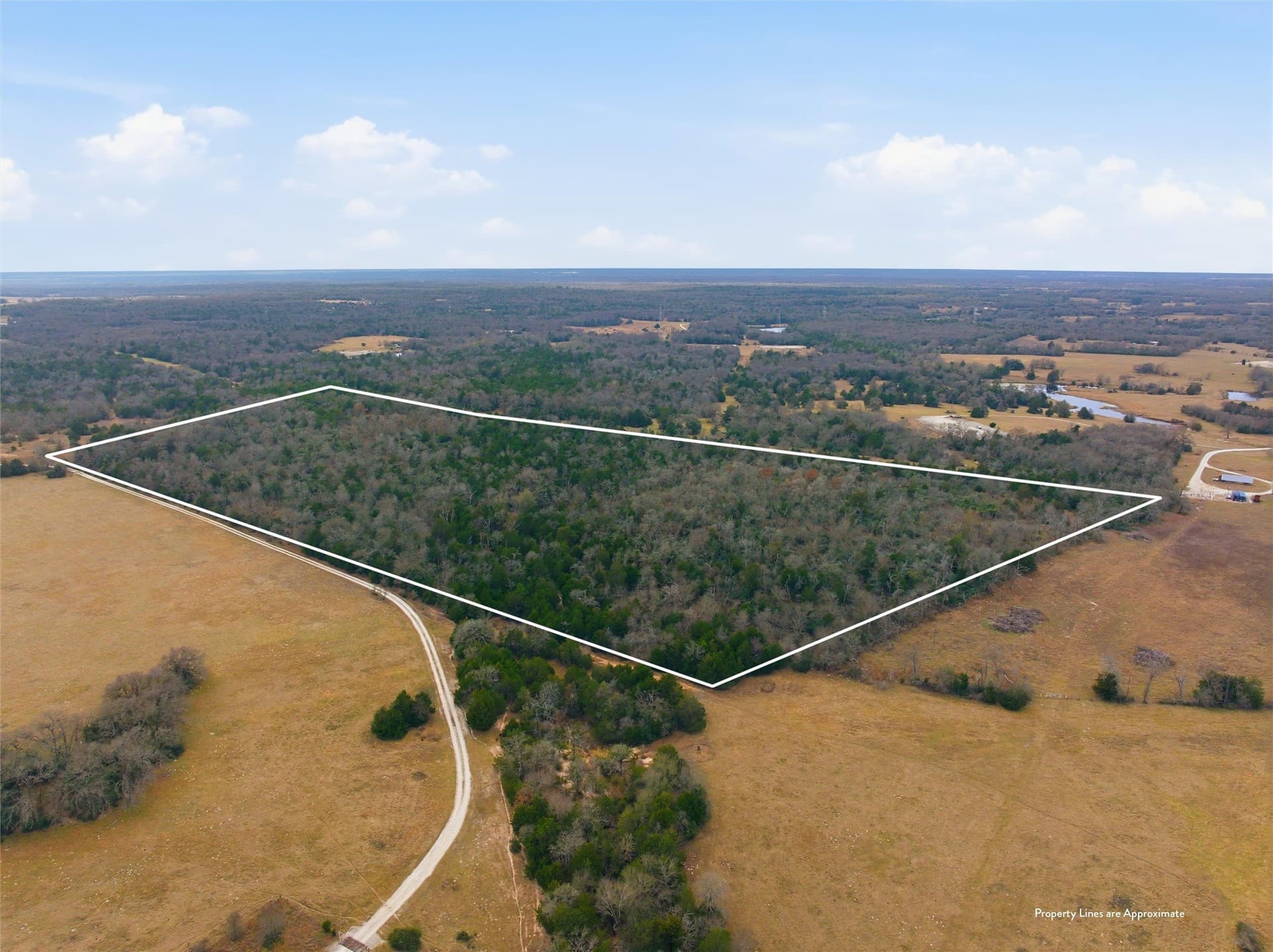 30.19 acres in Limestone County