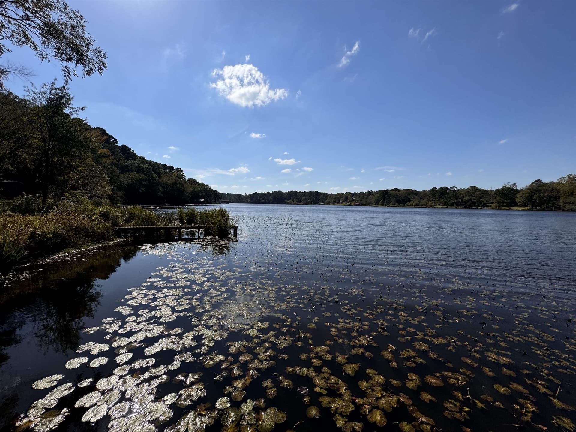 1.7 acres in Texas County