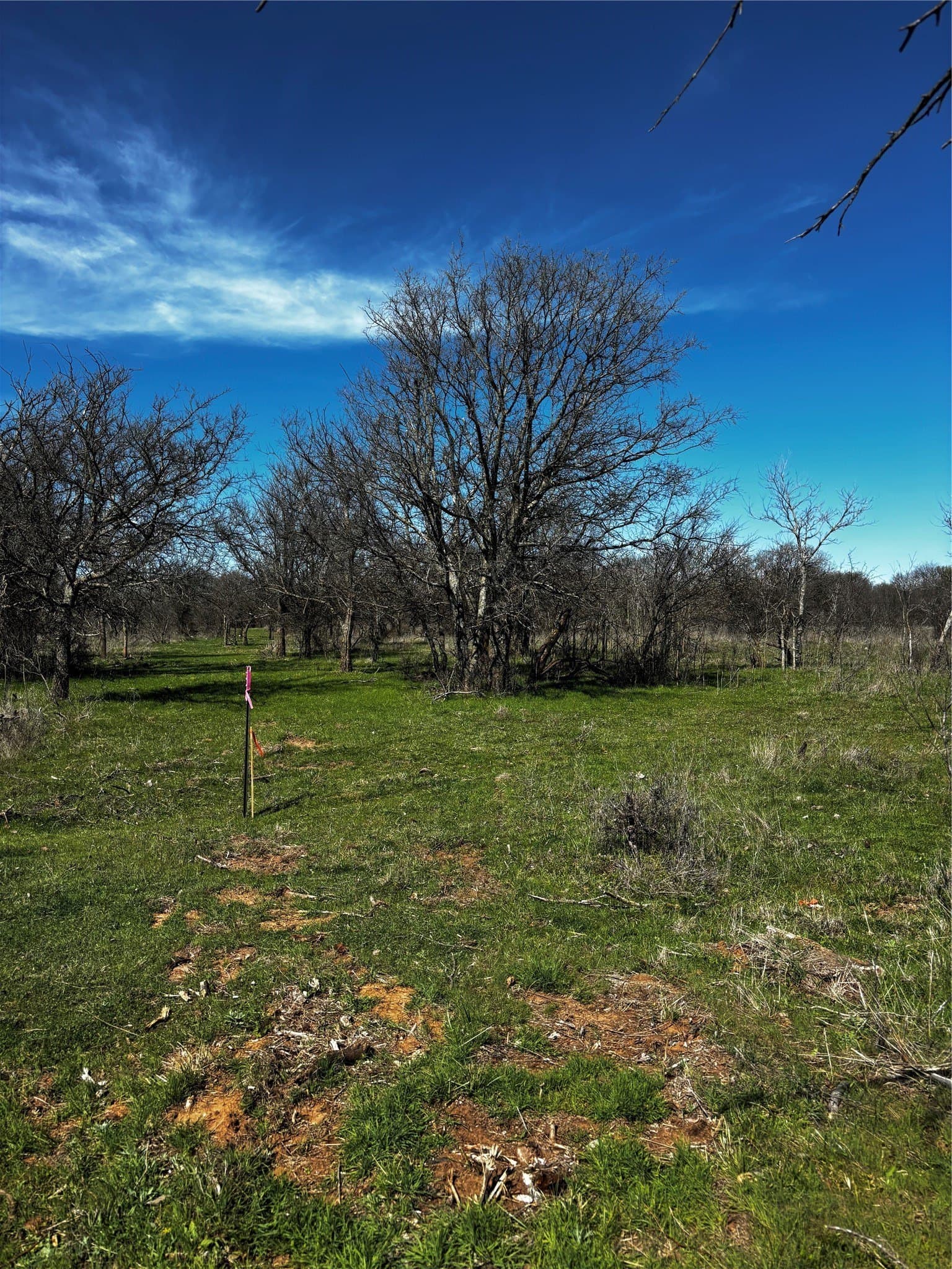 10.01 acres in Montague County