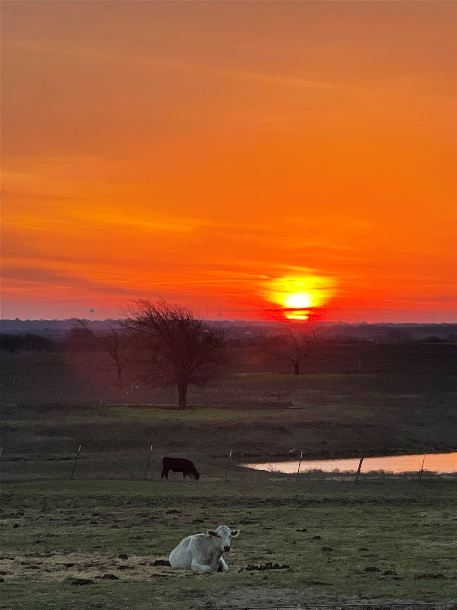 72.09 acres in Hill County