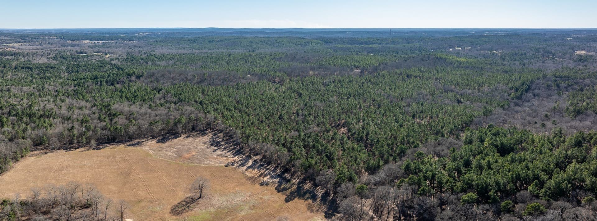 699.2 acres in Van Zandt County