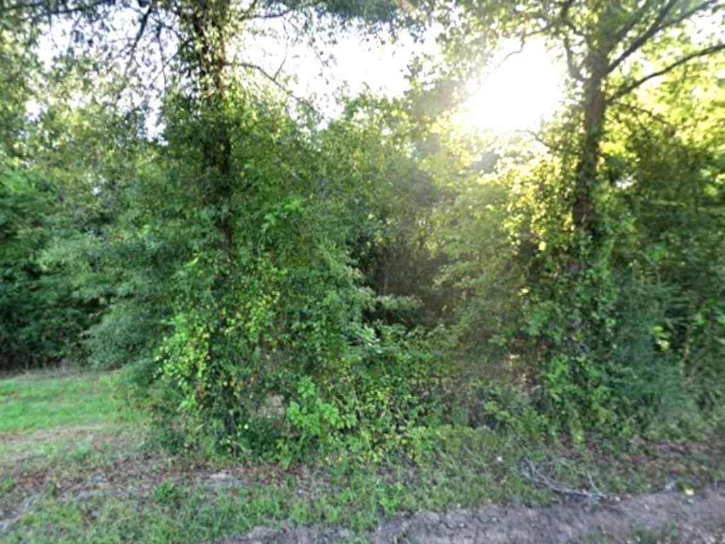 50 acres in Panola County