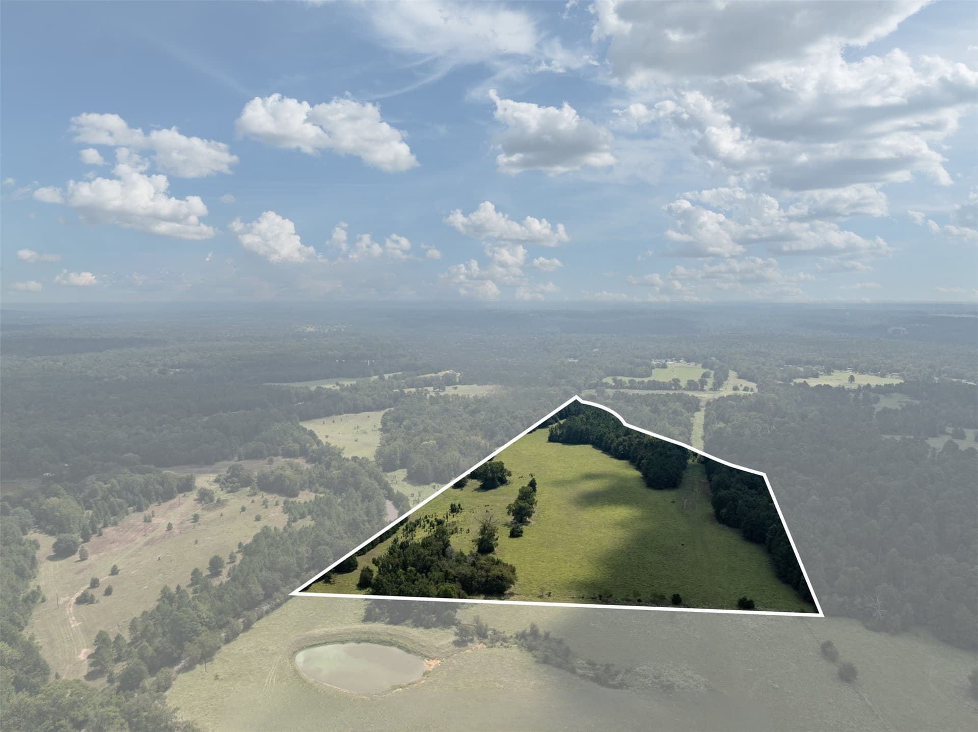 43.1 acres in Anderson County