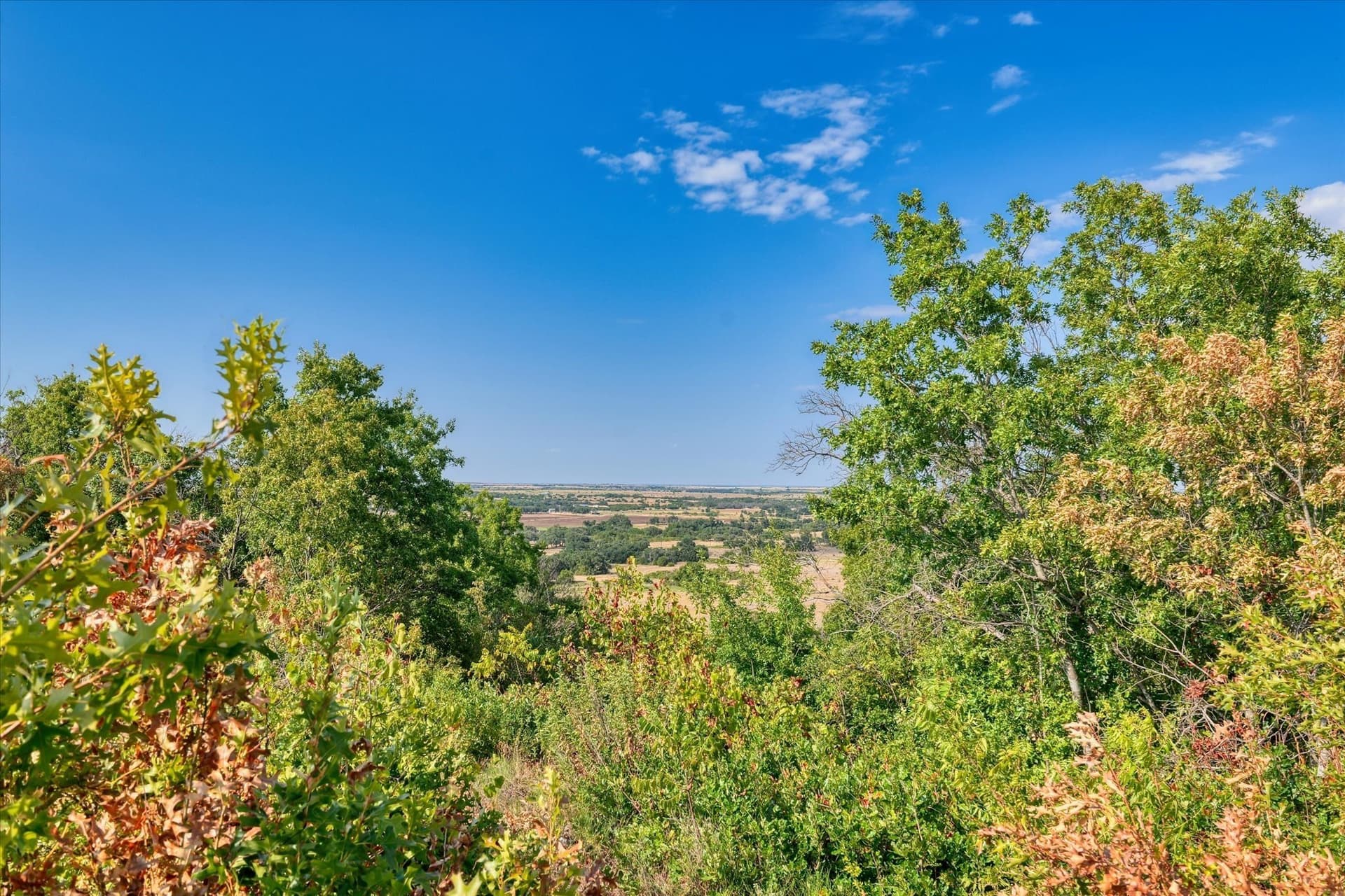 10 acres in Hamilton County