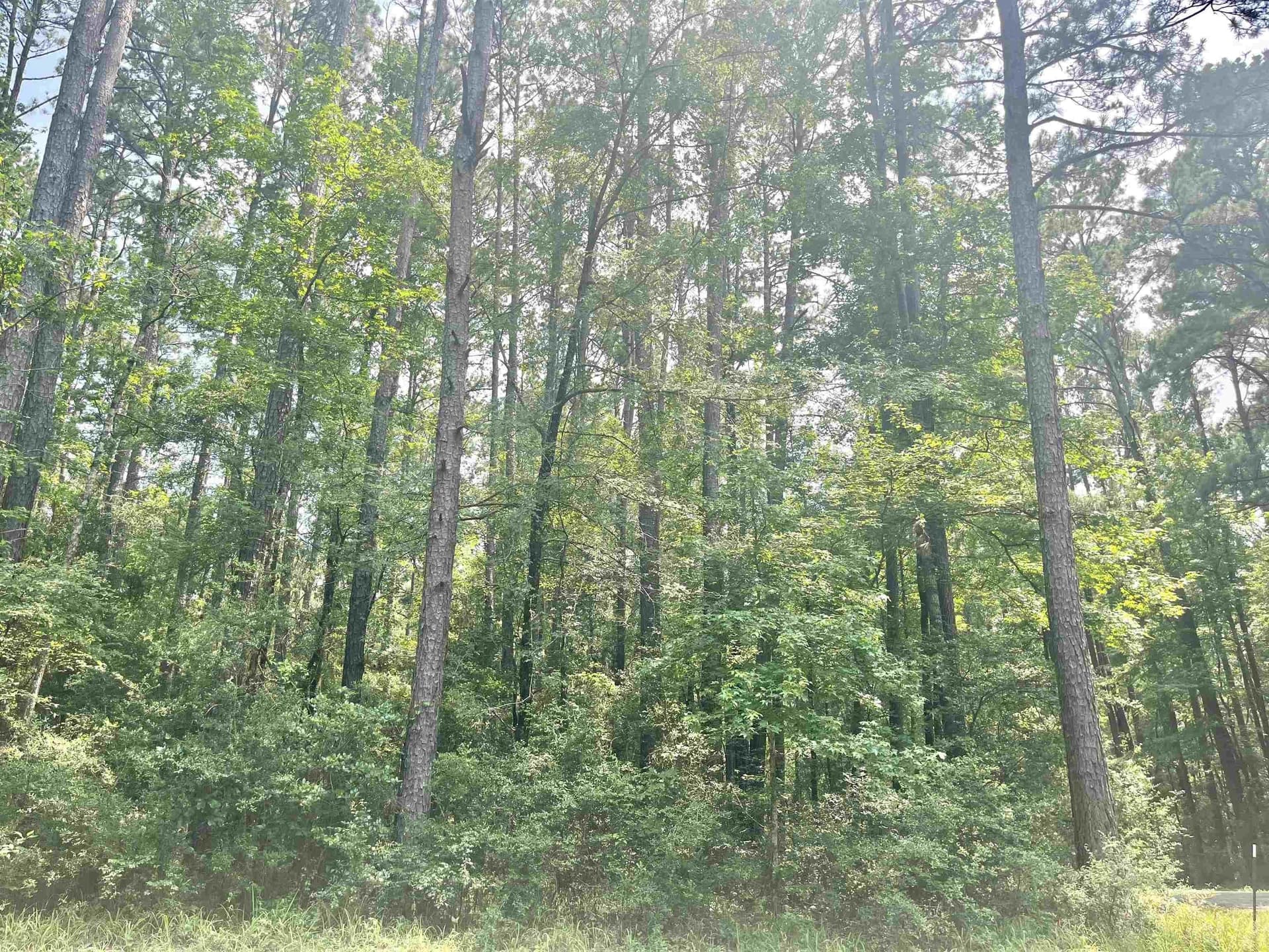 0.29 acres in Texas County