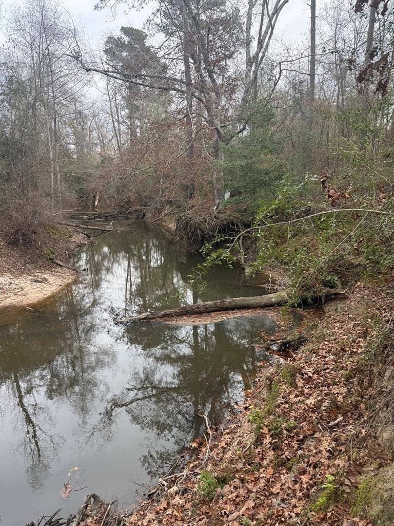 25.29 acres in Texas County