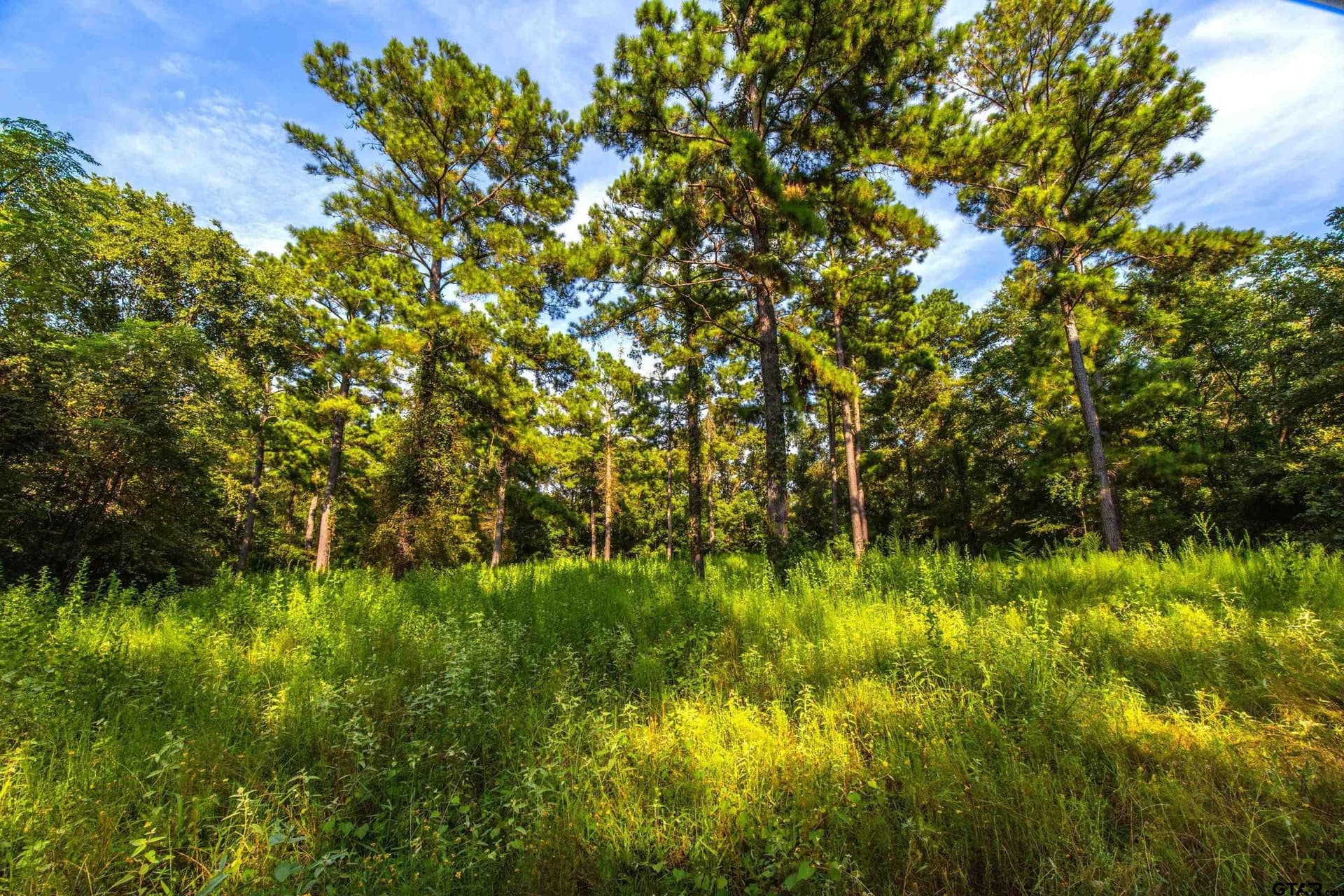 92 acres in Henderson County