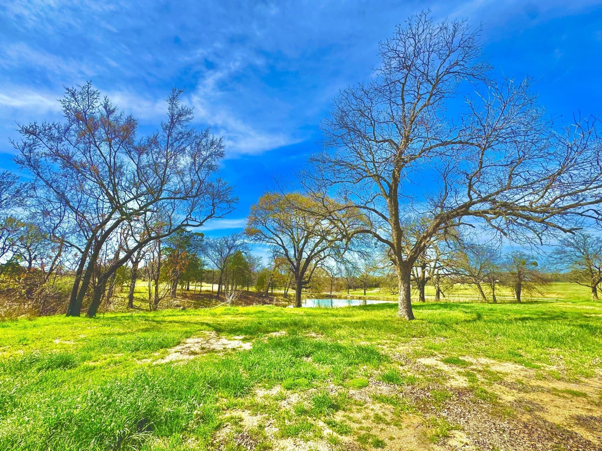 0.29 acres in Grayson County