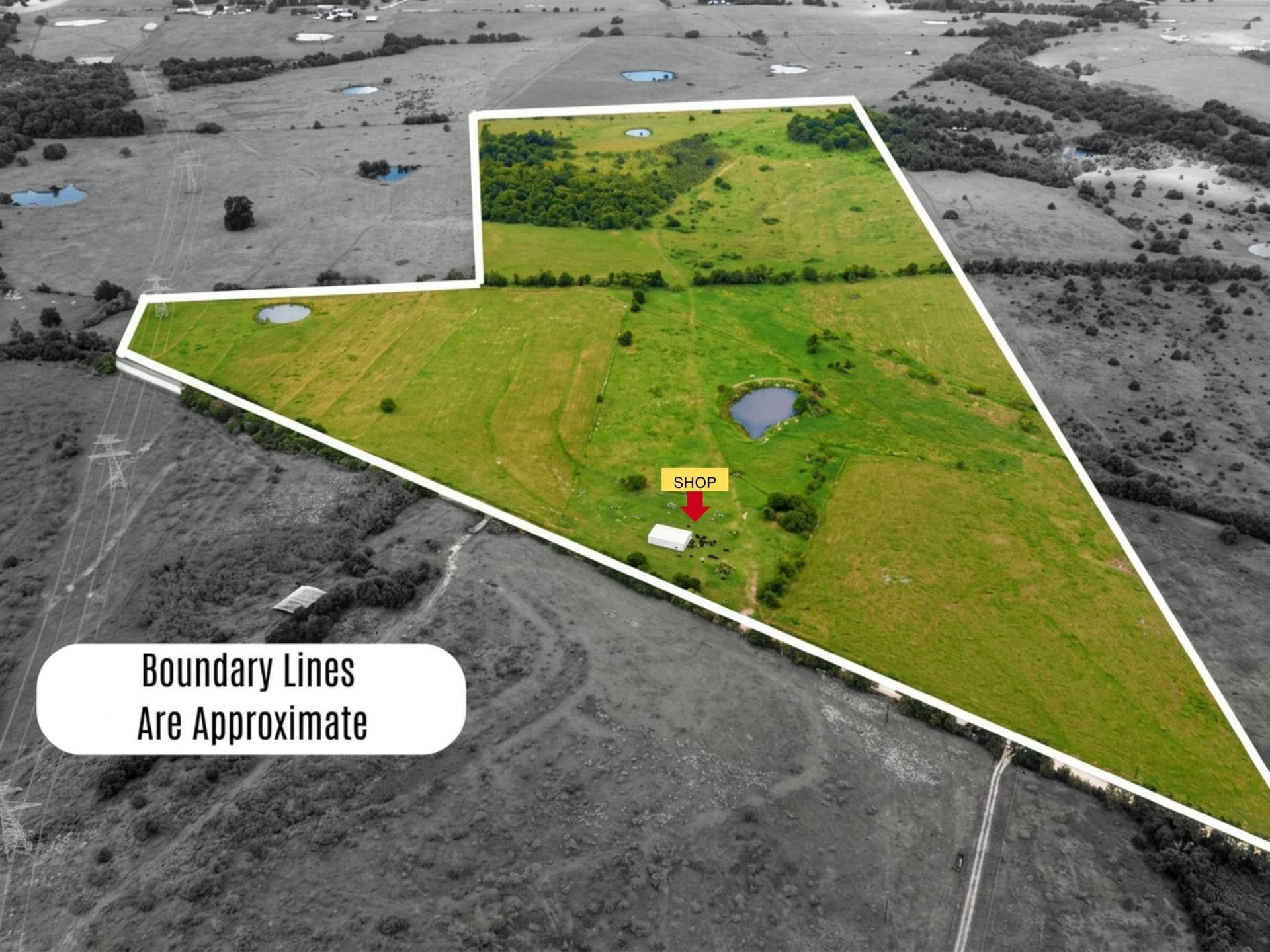 101 acres in Navarro County