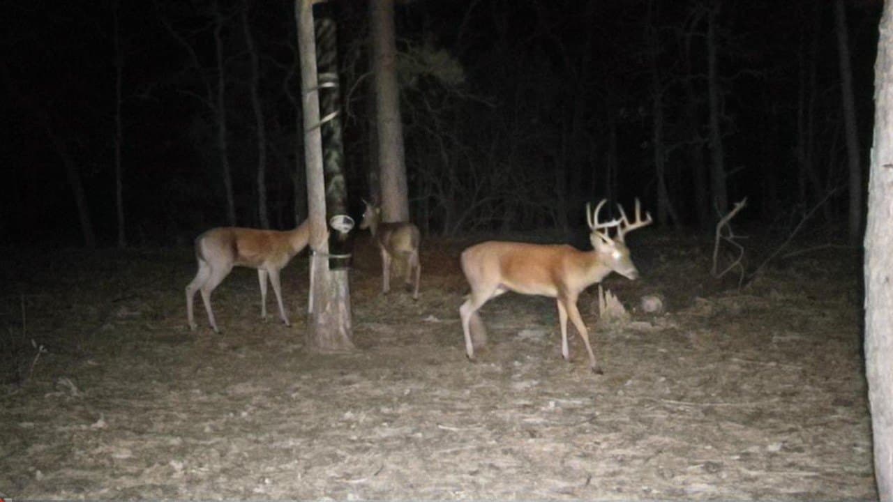 36.84 acres in Wood County