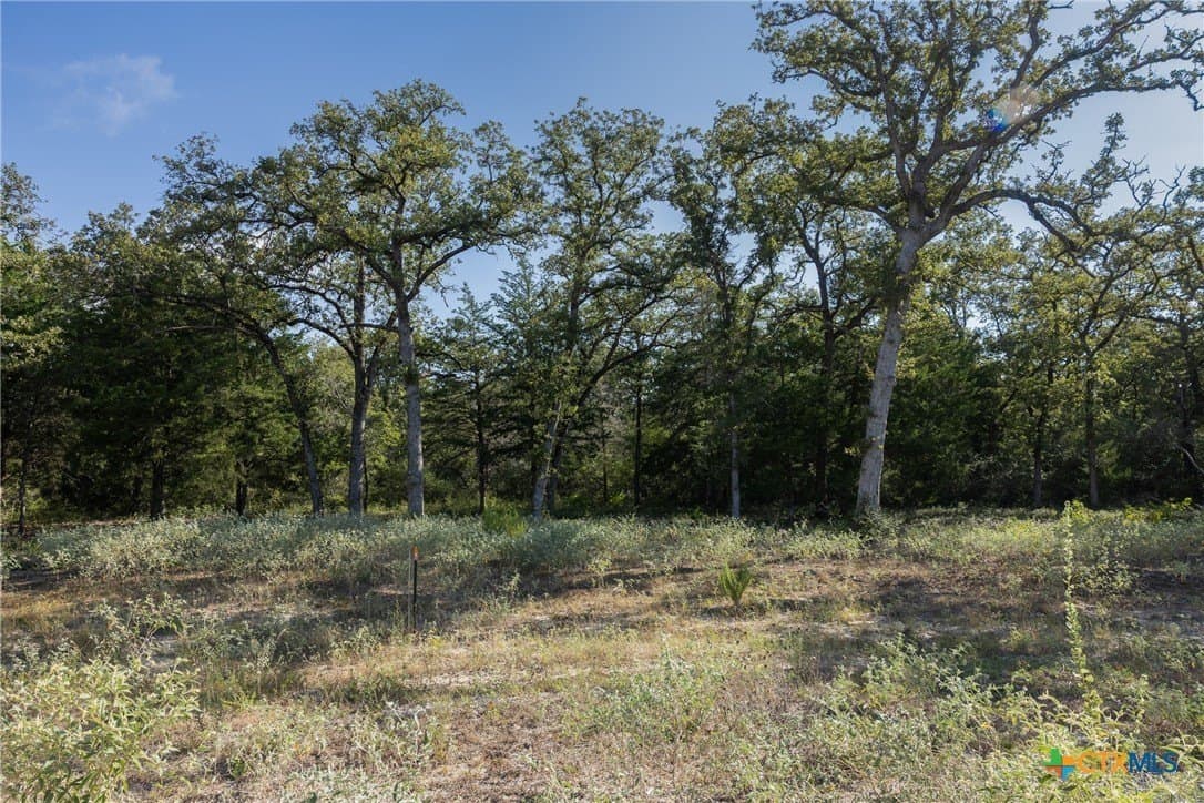 11 acres in Burleson County