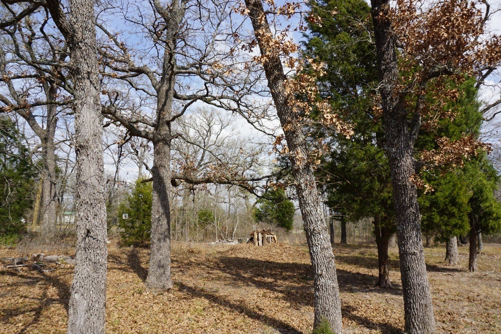 0.3 acres in Henderson County