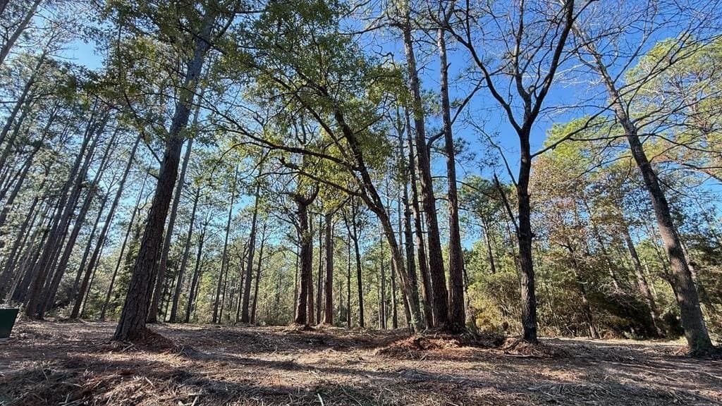 0.49 acres in Texas County