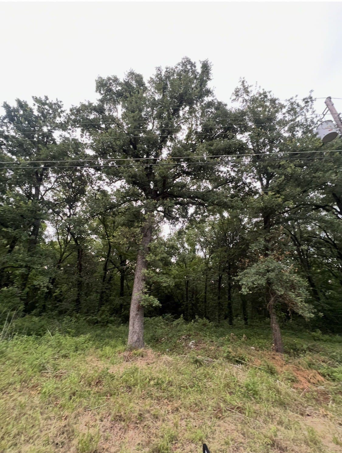 115 Inca Trail