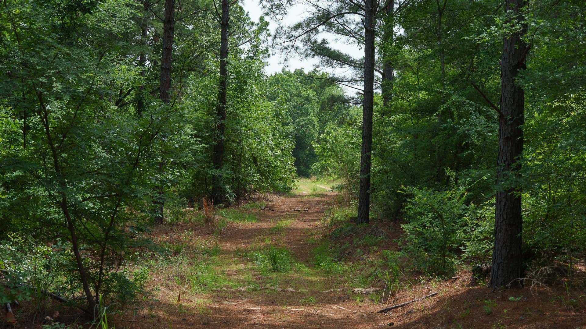 470.4 acres in Van Zandt County