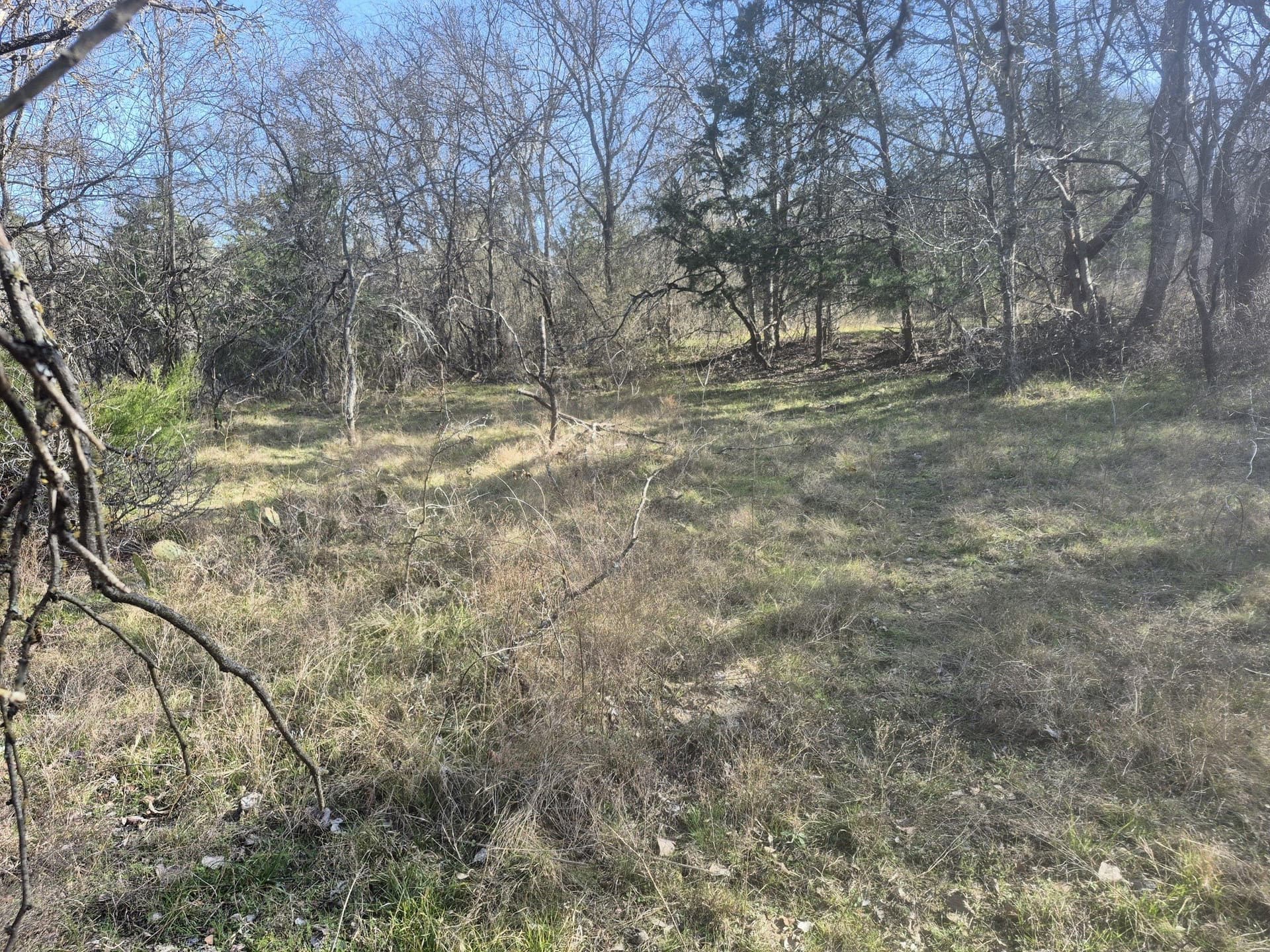 6.5 acres in Falls County