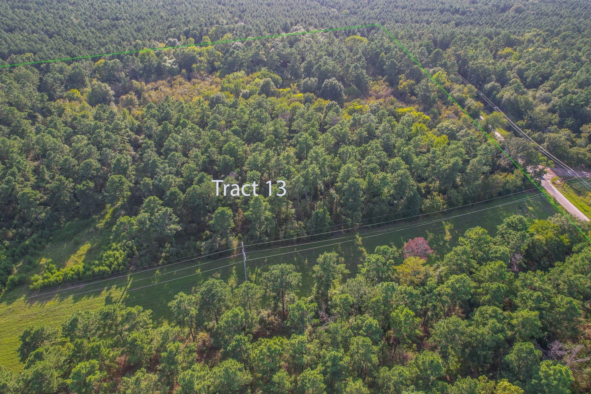 29 acres in Henderson County