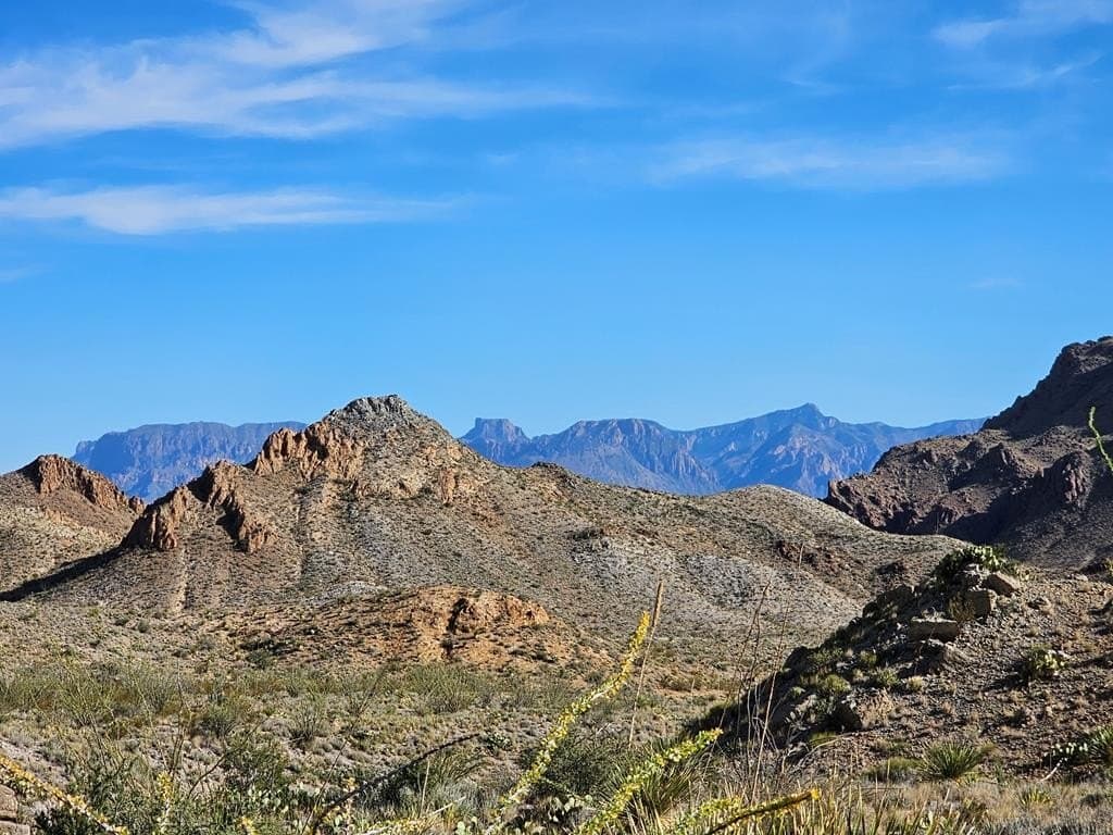 80 acres in Brewster County