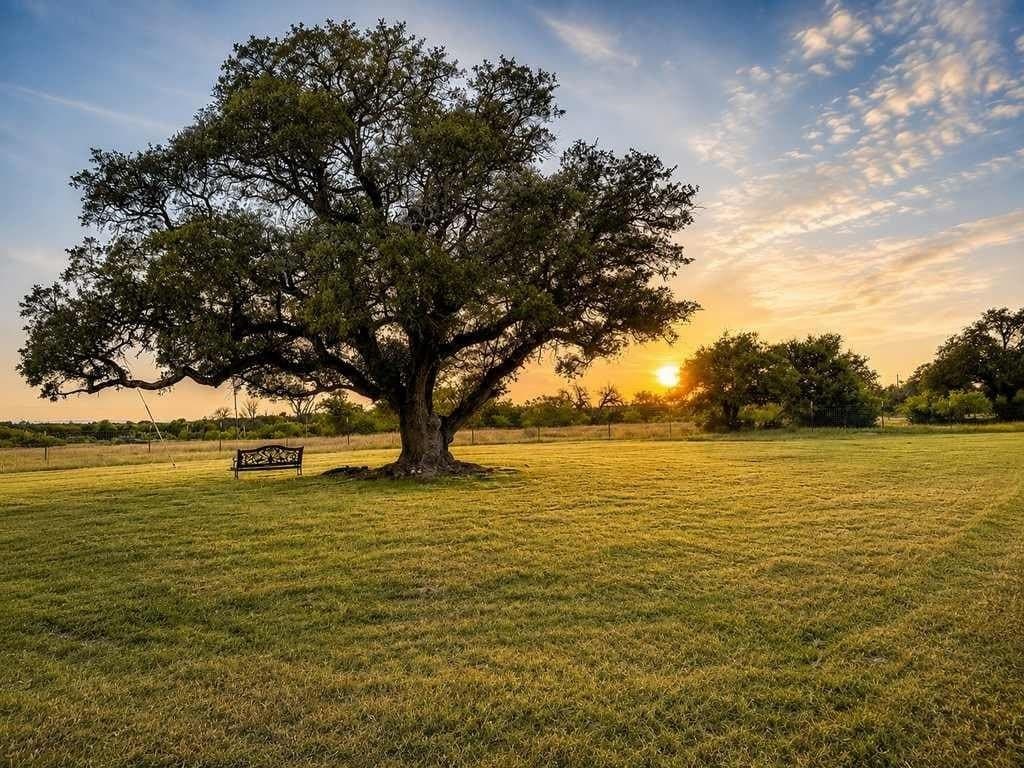 48 acres in Coryell County