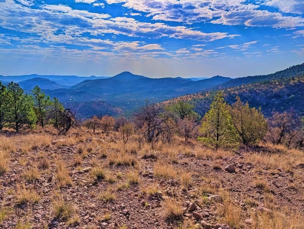 5.04 acres in Jeff Davis County