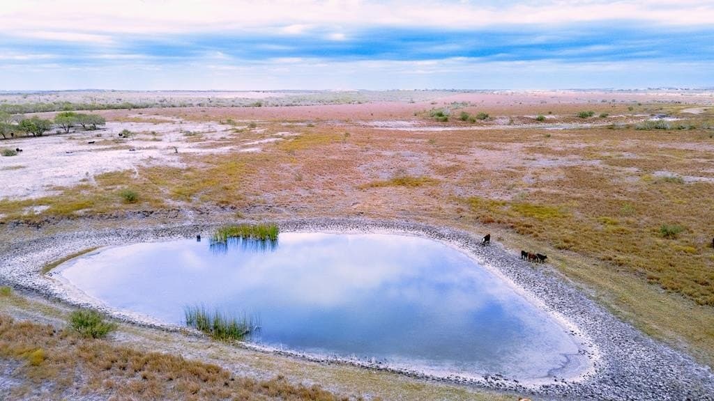 291.39 acres in Atascosa County