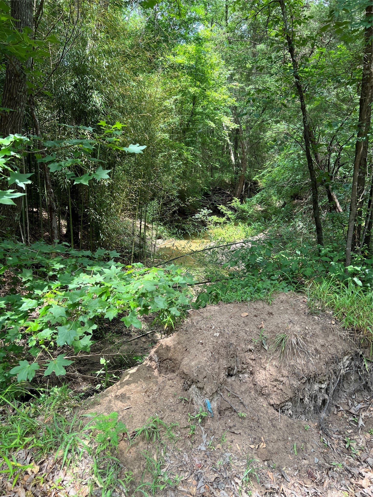 13.3 acres in Franklin (TX) County