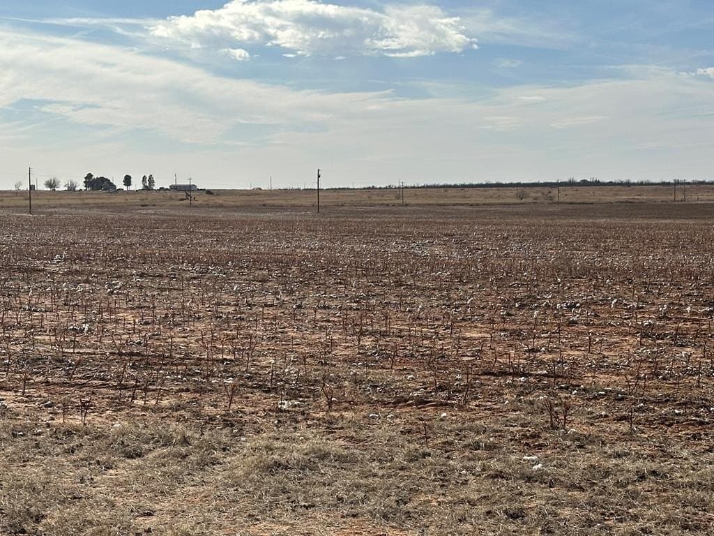160.3 acres in Mitchell County