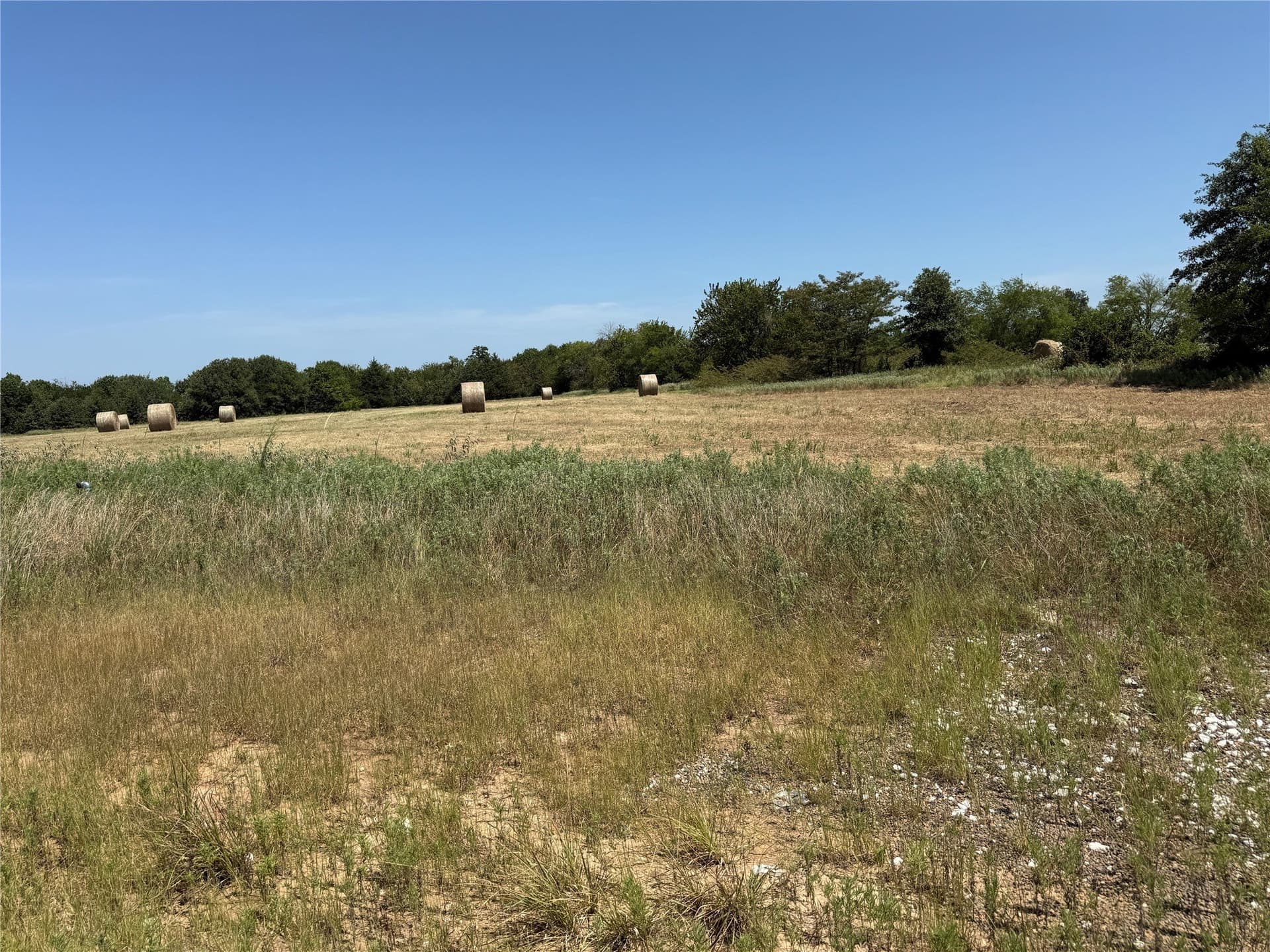 7 acres in Hopkins County