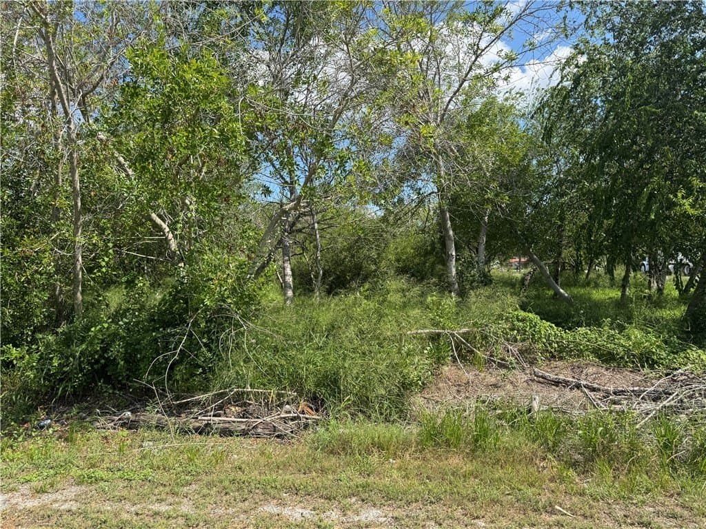 0.77 acres in San Patricio County