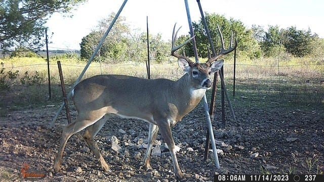 444 acres in Comanche County