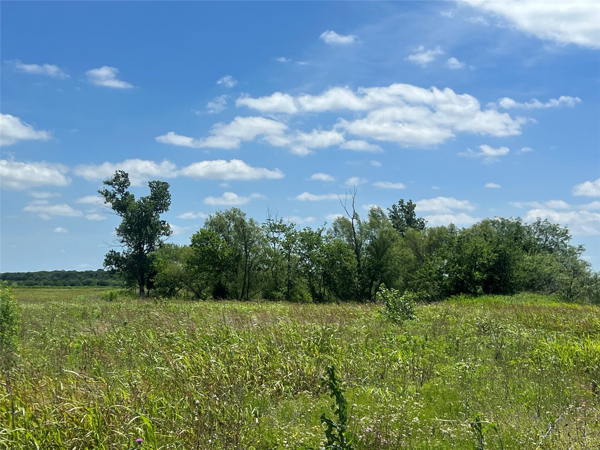 10.1 acres in Hill County